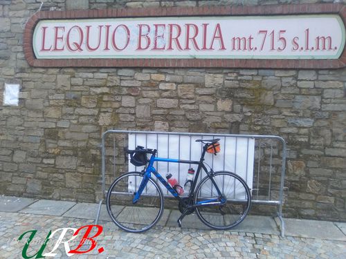 immagine 03